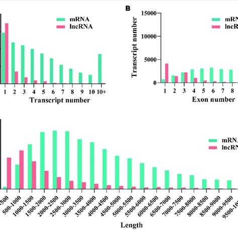 Identification And Characterizationof Mrnas And Long Non Coding Rnas