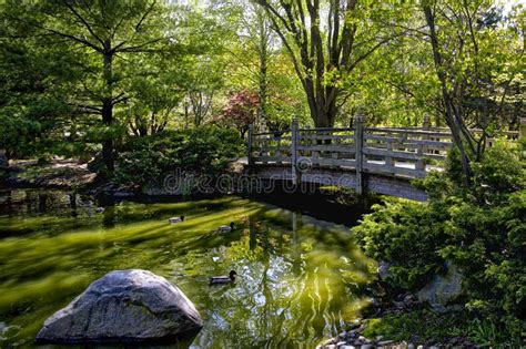 Bridge Over The Pond At Kariya Park Japanese Style Garden In