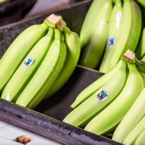 Banana Impact Report - 2021 – Fairtrade America