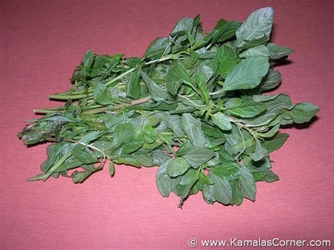 Keerai – Types and Nutrition | Kamala's Corner