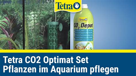 Tetra Co Optimat Komplettset Pflanzen Im Aquarium Pflegen Youtube