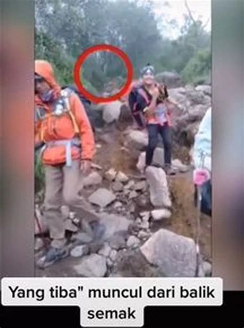 Penampakan Di Gunung Sindoro Muncul Sosok Putih Pucat Lihatin Pendaki