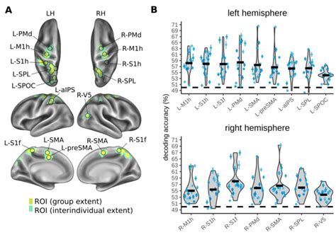 MVPA Results For Decoding Movement Goal Location Pointing Movement To