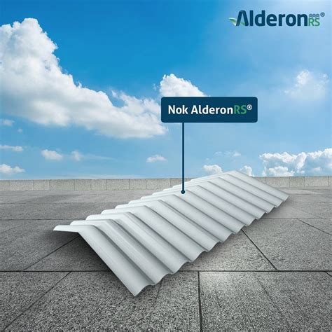 jual nok wuwungan alderon rs trimdeck harga termurah
