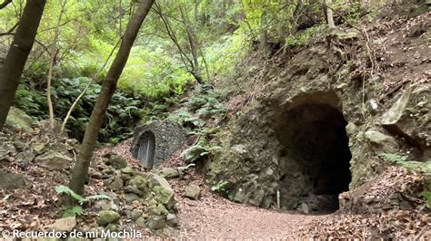 Ruta Por El Bosque De Los Tilos En La Palma