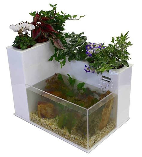 Best Aquaponic Grow Kits For Home Gardeners 2018 Update