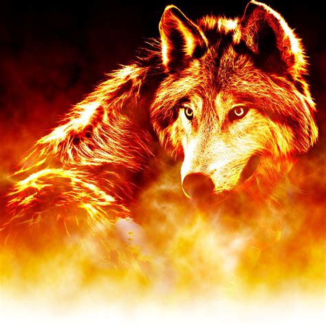 Cool Fire Wolf Wallpapers - Top Free Cool Fire Wolf Backgrounds ...