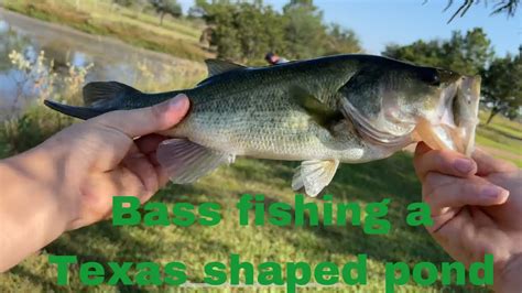 Bass Fishing A Texas Shaped Pond Youtube