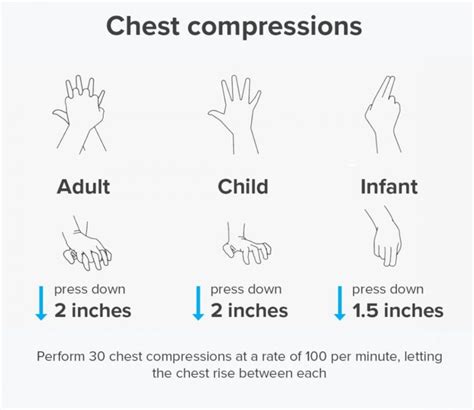 Cpr Basics Ashlie Gilberta