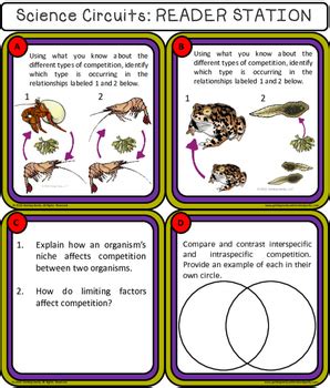 Ecology Stem Steam Science Lab Centers Symbiosis Competition Predation