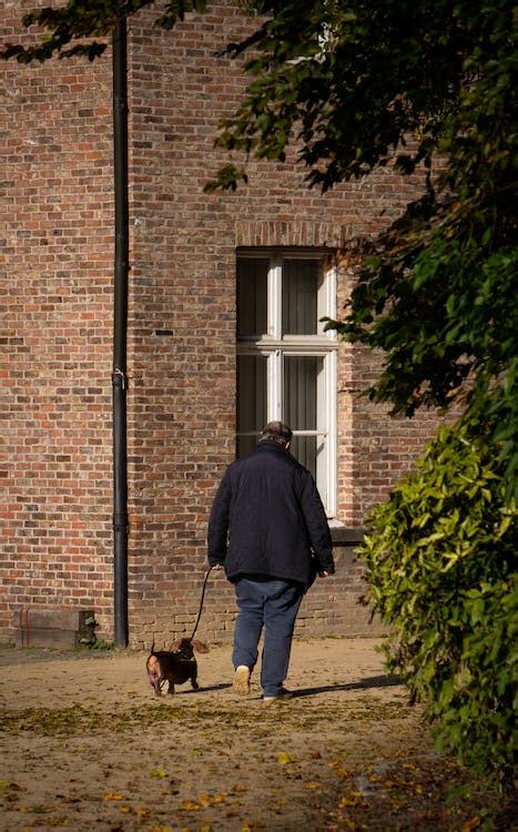 Man Walking with Dog · Free Stock Photo