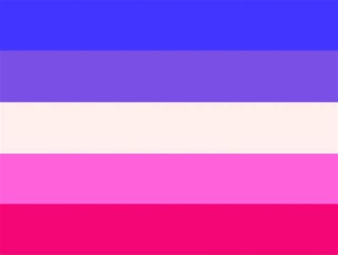 Queer Platonic Relationship Attraction Flag R Aromanticasexual