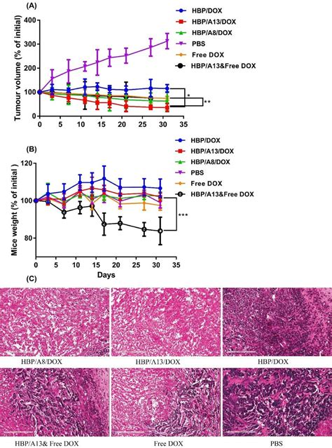 Tumour Growth Inhibition Of Sc Human Breast Mda Mb 468 Carcinoma