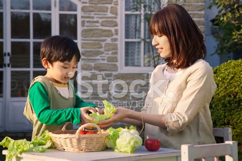 Sex Japan Mom And Son Telegraph