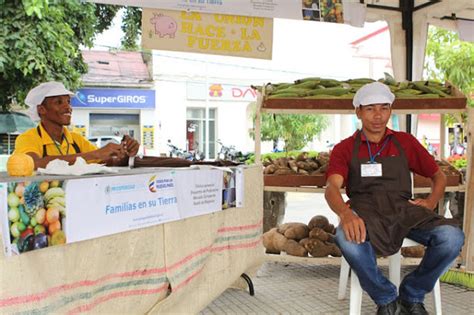 Campesinos Desplazados De Montes De Mar A Dinamizan Econom A De Su