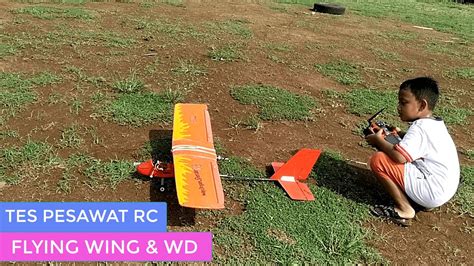 Terbang Pesawat RC Flying Wing Dan Pesawat WD PESAWAT REMOT PESAWAT