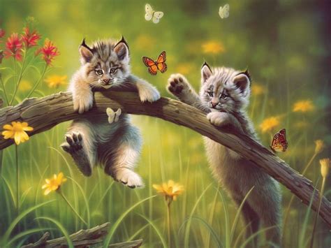 Cute Cats And Butterfly Cats And Butterflies Pinterest