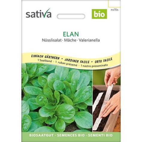 Sativa Bio N Sslisalat Elan Saatband Packung Bloomling Deutschland