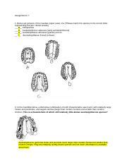 Final Evolution Edited Docx Running Head ANTHROPOLOGY 1 Anthropology