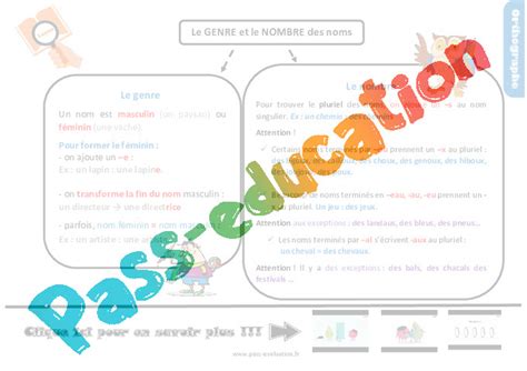 Bilan Pour Le CM1 Sur Le Genre Et Nombre Des Noms Evaluation Avec Le