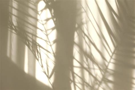 Morning sun lighting the room, shadow background overlays. Transparent ...