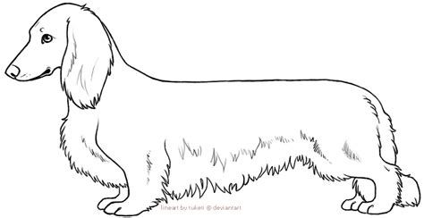 Pin By Julie Maynard On Tattoo Dachshund Art Dachshund Tattoo Dachshund