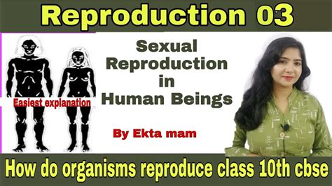 Reproduction Reproduction In Human Beings How Do Organisms Reproduce