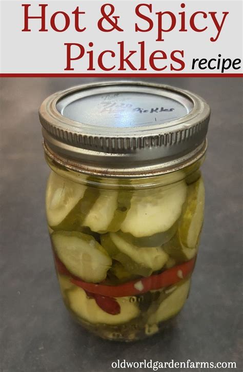 How To Make Hot & Spicy Pickles - Adjust the Heat Level to Your Liking!