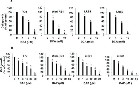 PDK1 inhibition results in decreased retinoblastoma cell growth. (A ... 