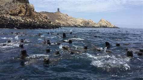 Cinco áreas naturales protegidas en las que podrás disfrutar de una