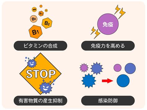 腸活とは？健康や美容への効果と腸内フローラを整える正しいやり方を解説！｜わかもとラボ