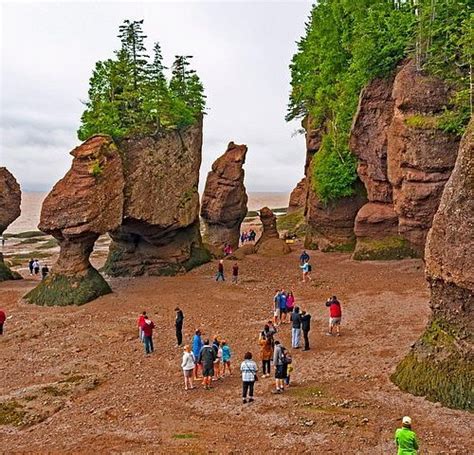 THE 15 BEST Things to Do in Moncton - 2024 (with Photos) - Tripadvisor