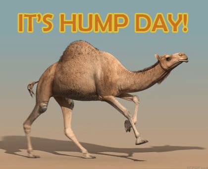 Hump Day IceGif