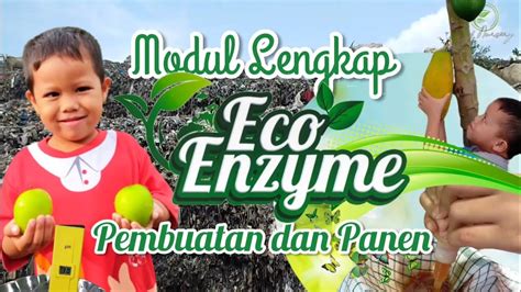 Eco Enzyme Modul Lengkap Cara Pembuatan Dan Panen Youtube