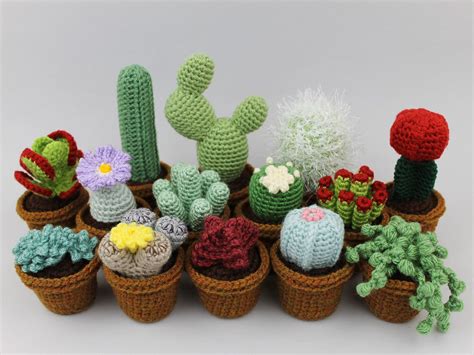 Piante Grasse E Cactus All Uncinetto Realistico Etsy Crochet Cactus