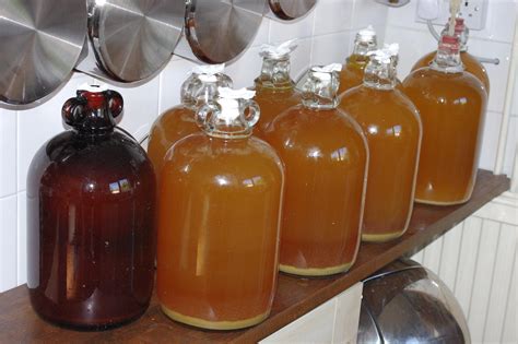 Fermenting Cider – Minnesota Home Brewers Association