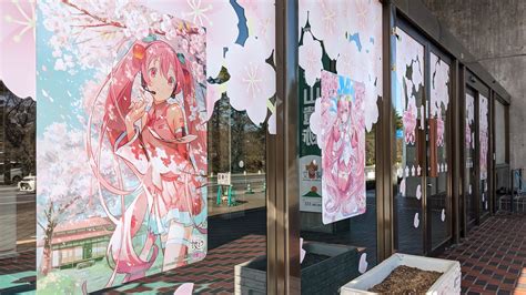 弘前市役所入口ドアが「桜ミク」仕様に【2024年弘前さくらまつり】 弘前さくらまつり Hirosaki Cherry Blossom