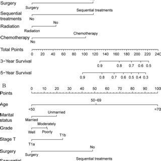 Nomograms For Predicting Patients Os A And Css B For A New