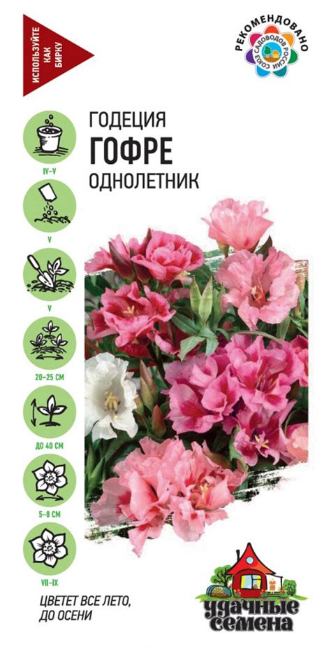 Семена Годеция Гофре, смесь, 0,1г, Удачные семена по цене 24 руб ...