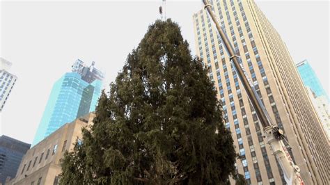 Everything to know about the 2023 Rockefeller Center Christmas Tree ...