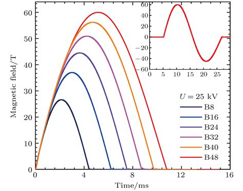 A Pulsed High Magnetic Field Facility For Electric Polarization