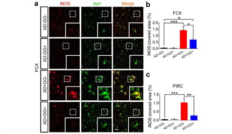 Neuroinflammation Mediated By Microglia Is Alleviated In Xfad Mice