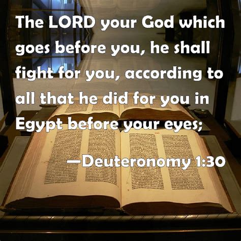 Deuteronomy 1:30 The LORD your God which goes before you, he shall ...