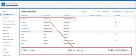 Salesforce Multi Select Picklist Salesforce Faqs