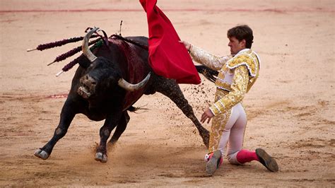 Del Toro Al Infinito 8ª Y Última De San FermÍn Colombo Rinde La