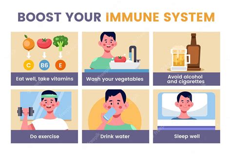 Free Vector Boost Your Immune System Infographics