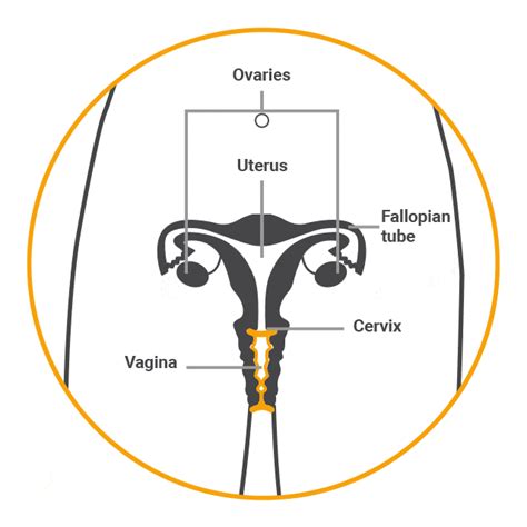 How To Use A Female Condom Correctly