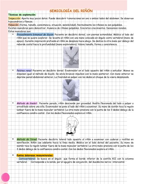 Semiología DEL Riñón SEMIOLOGÍA DEL RIÑÓN Técnicas de exploración