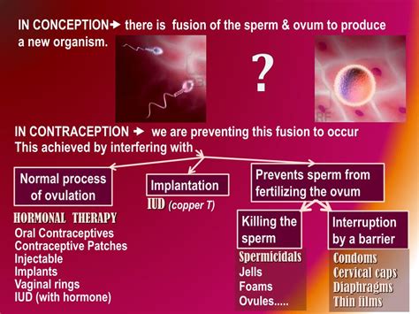 Ppt Pharmacology Of Powerpoint Presentation Free Download Id 2258951