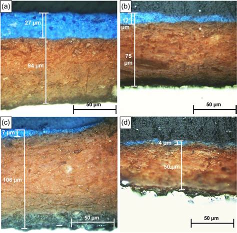 Representative Metallographic Cross Section Of Antifouling Coated